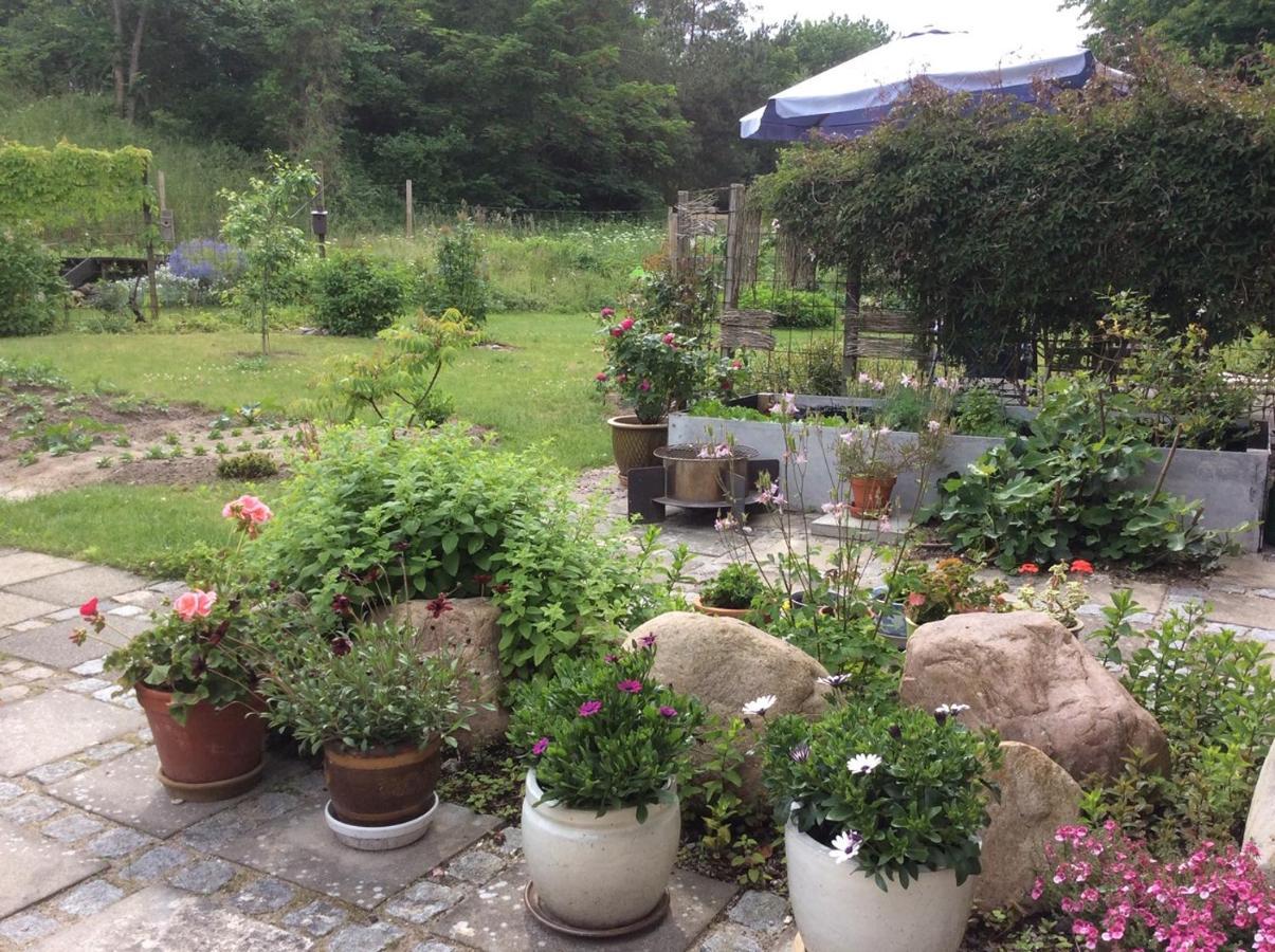 Bergliot Bed & Breakfast Hundested Luaran gambar