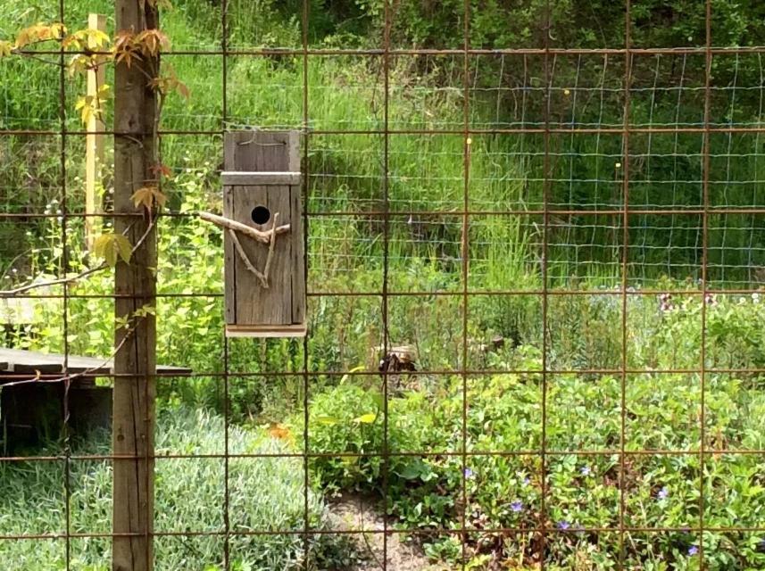 Bergliot Bed & Breakfast Hundested Luaran gambar